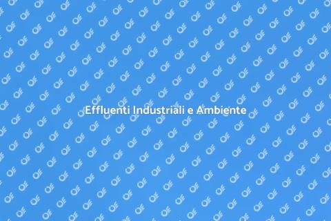 Trattamento Effluenti Industriali