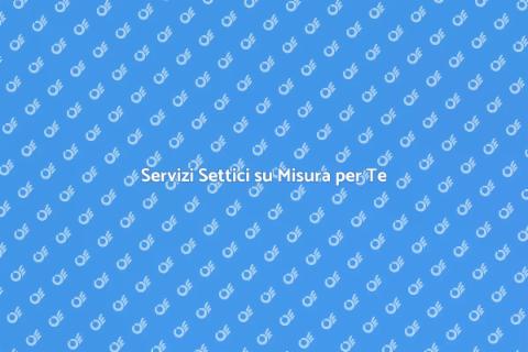 Assistenza Settici Personalizzata