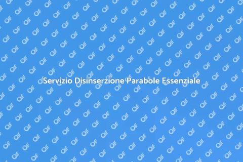 Disinserzione Parabole: Sicurezza Casa