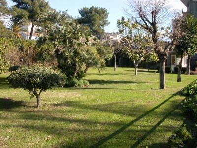 Creoverde  - Foto 5