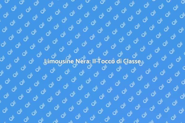 Limousine Nera: Eleganza in Movimento