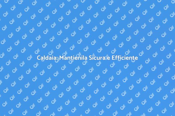 Manutenzione Caldaia: Fondamentale per Te