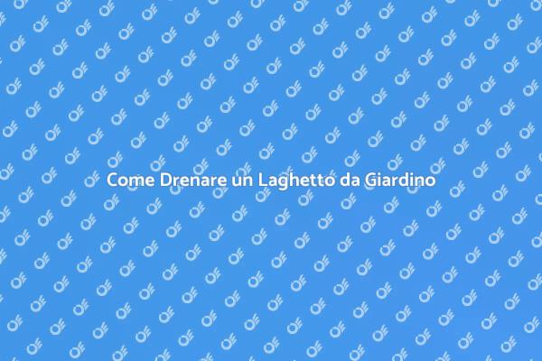 Guida al Drenaggio di un Laghetto