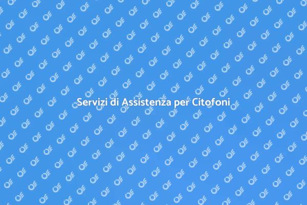 Citofoni: Sicurezza e Assistenza Efficace