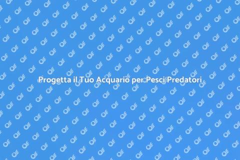 Acquario Perfetto per Pesci Predatori