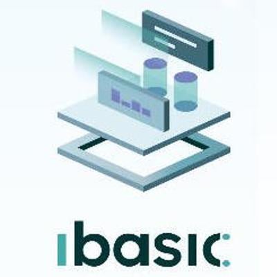 ibasic srl