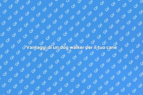 Assumere un dog walker: perché farlo