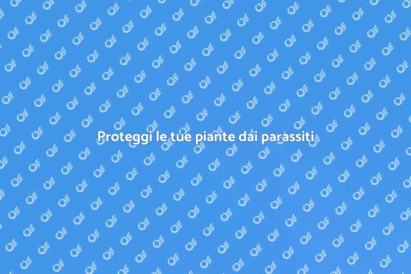Lotta ai parassiti delle piante