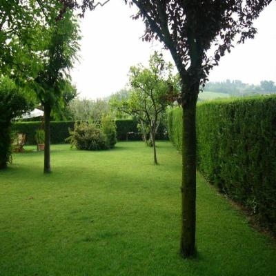 Irriverde Il Paesaggio Srl  - Foto 4