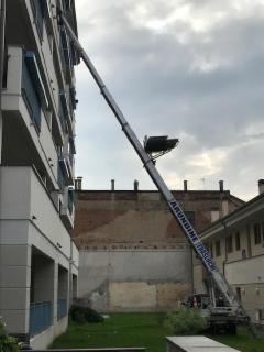 TRASLOCHI ARUNDINE SRL - Foto 6