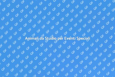 Noleggiare Animali per Eventi Unici