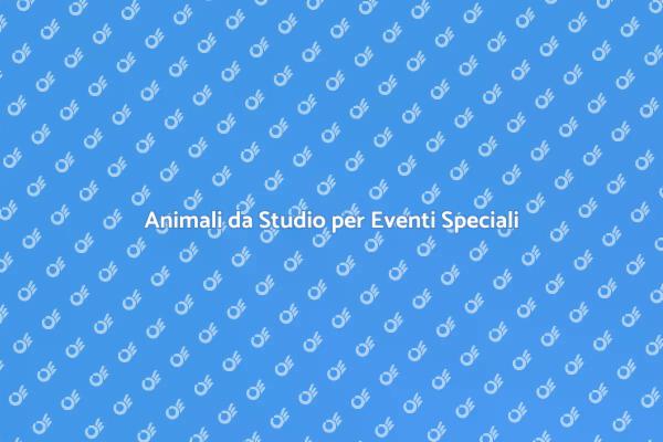 Eventi Indimenticabili con Animali da Studio