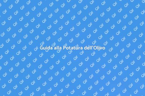 Potatura Olivo: Massimizza i Risultati