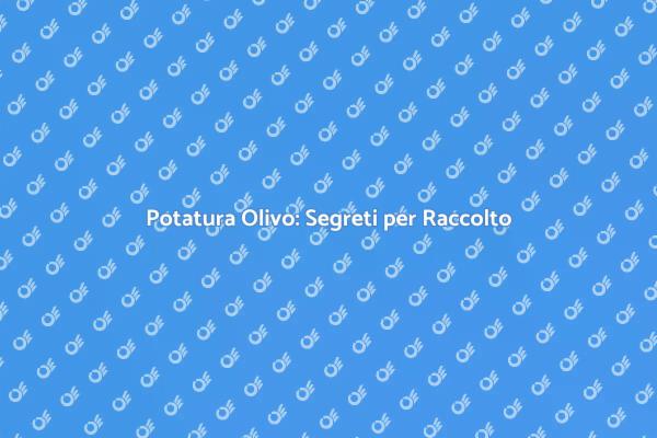 Potatura Olivo: Guida Professionale