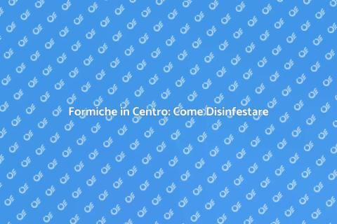 Disinfestazione Formiche in Centro