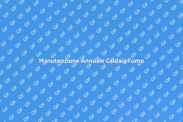 Guida alla Manutenzione della Caldaia