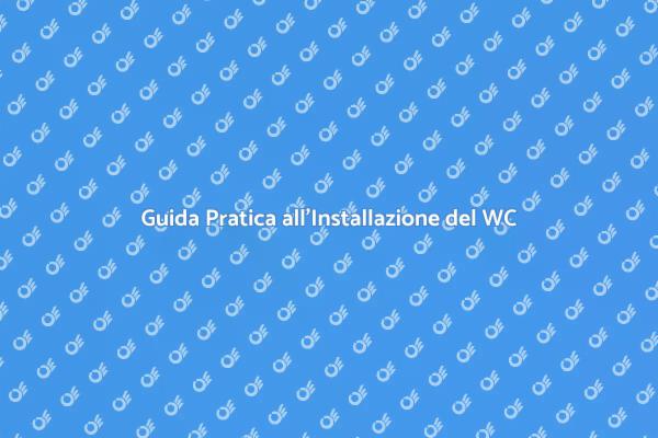 Installazione e Sostituzione del WC Semplificata