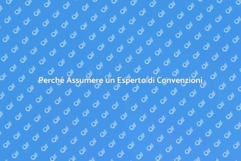 Esperto di Convenzioni per Progetti
