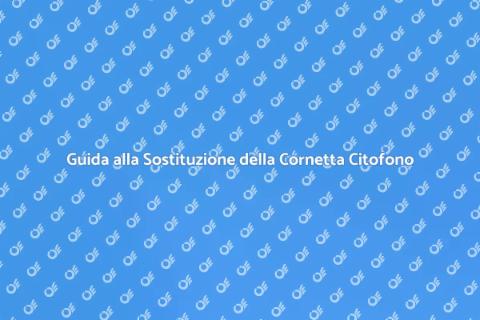 Sostituzione Cornetta Citofono Senza Fili