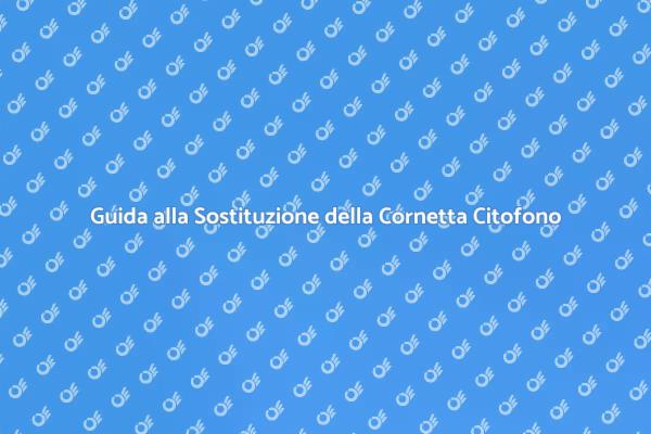 Sostituzione Facile Cornetta Citofono