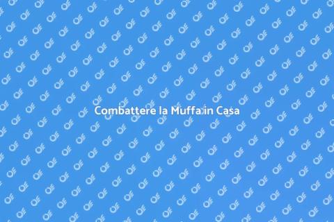 Prevenire la Muffa in Casa