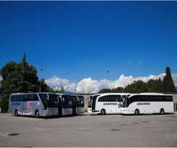 Arrigoni Autoservizi  - Foto 1