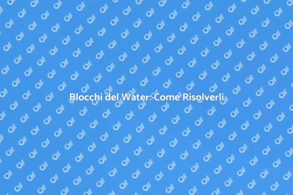 Come Risolvere il Blocco del Water
