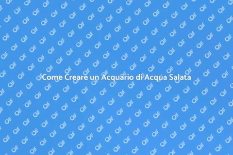 Riempire un Acquario di Acqua Salata