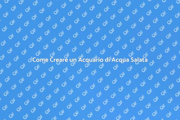 Creare un Ecosistema Marino in Casa