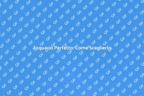Comprare un Acquario: Guida Completa