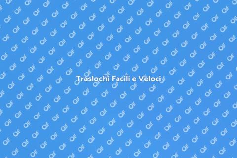 Trasferimenti Brevi: Servizio Efficace
