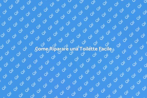 Soluzioni Rapide per Toilette Malfunzionante