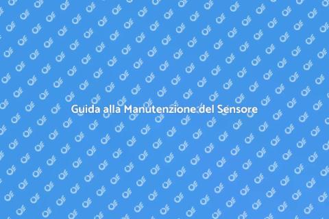 Manutenzione Sensore di Movimento
