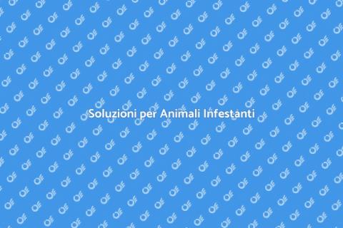 Rimozione Animali Infestanti Efficace