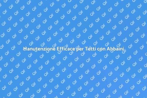 Manutenzione Tetto con Abbaini