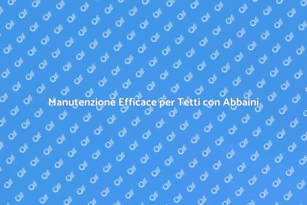 Guida alla Manutenzione di Tetti con Abbaini