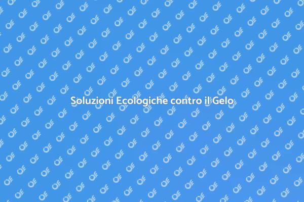 Gelo? Ecco il Trattamento Ecologico!