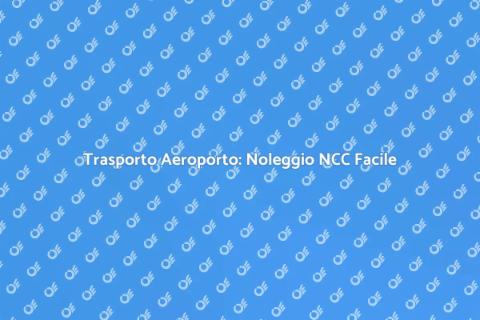 Noleggiare NCC per Aeroporto: Comfort