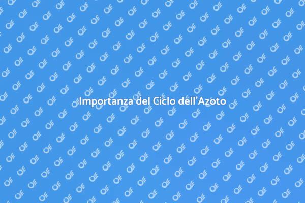 Comprendere il Ciclo dell'Azoto
