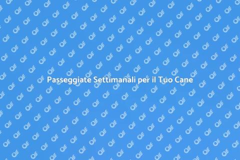 Dog Walking Settimanale: Servizio Essenziale