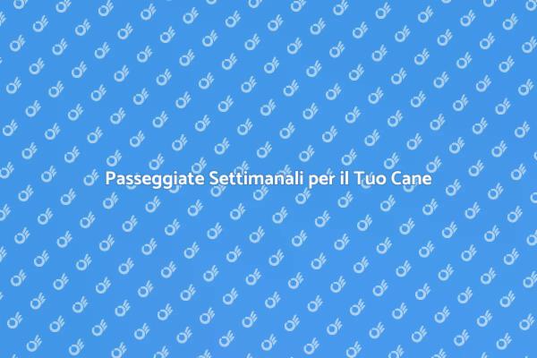 Dog Walking: Salute e Felicità per il Tuo Cane