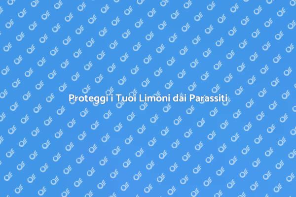Come Disinfestare i Limoni Efficacemente