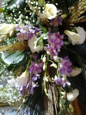 Vitalflor  - Foto 4