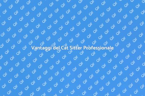 Cat Sitter Professionale per il Tuo Micio
