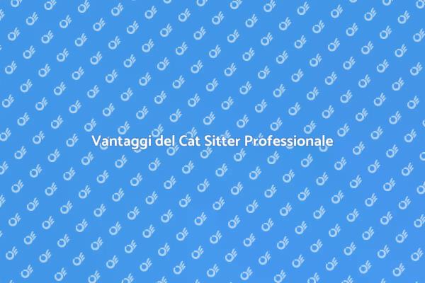 Scegli un Cat Sitter per il Tuo Micio