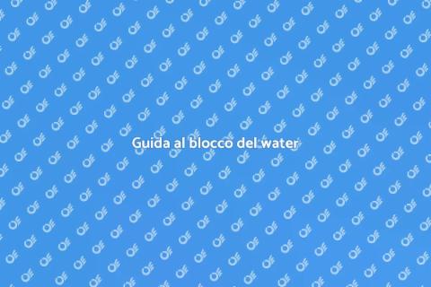 Risolvere il blocco del water