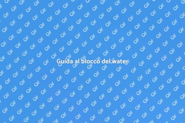 Soluzioni per il blocco del water