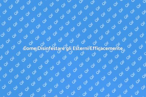 Disinfestare Esterni: Guida Completa