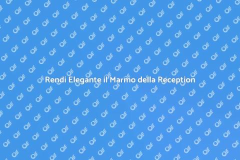 Lucidare Marmo Area Reception Elegante