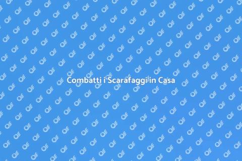 Disinfestazione Scarafaggi Professionale
